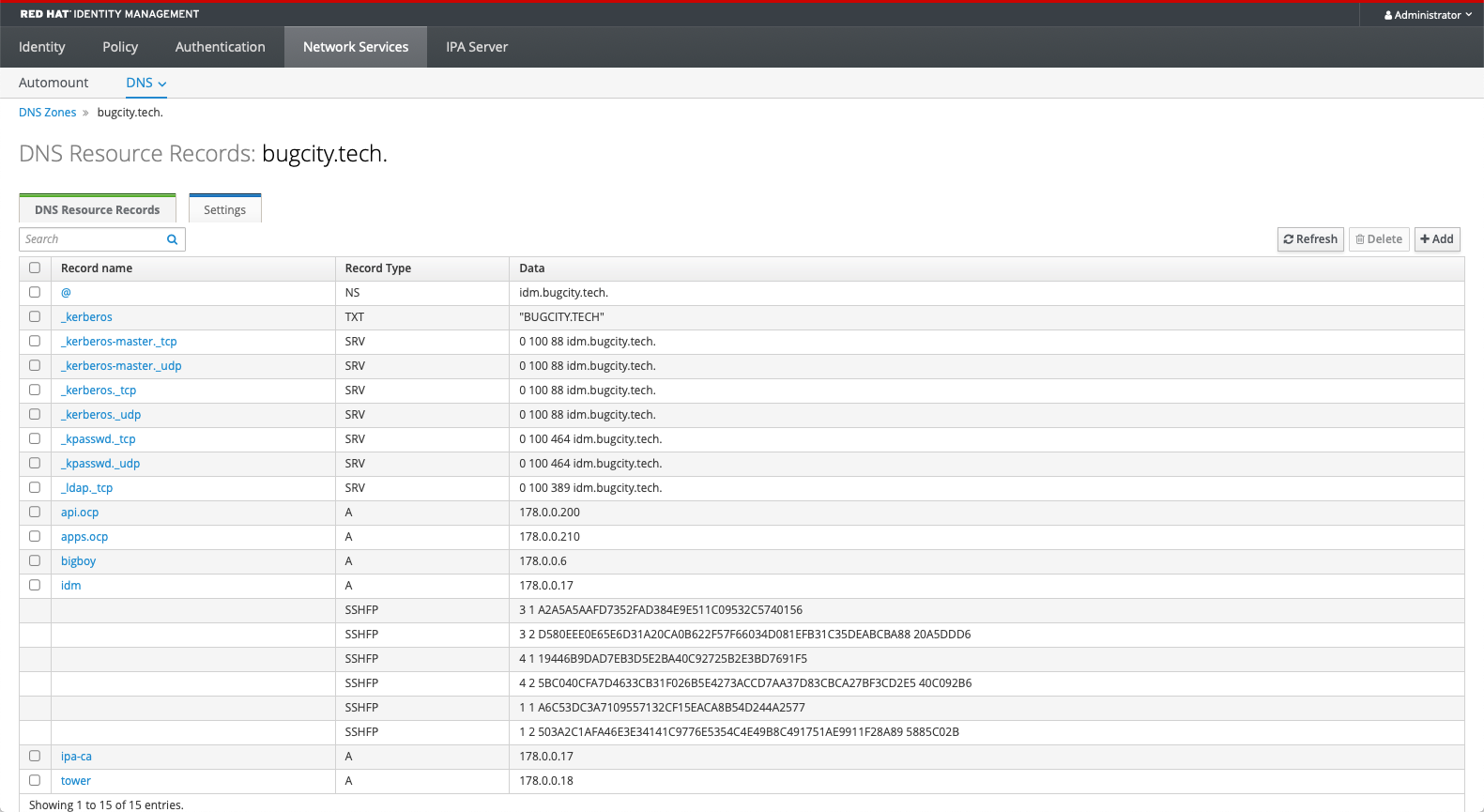 Red Hat Identity Manager DNS page
